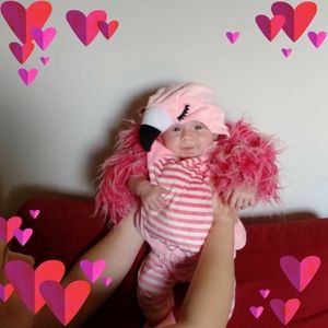 Meet your Posher, Faye